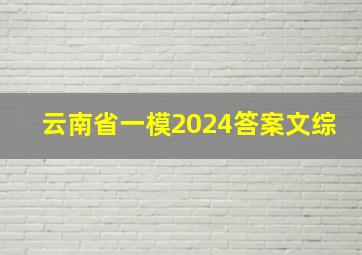 云南省一模2024答案文综