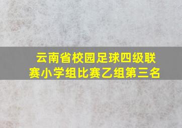 云南省校园足球四级联赛小学组比赛乙组第三名