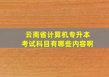 云南省计算机专升本考试科目有哪些内容啊