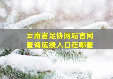 云南省足协网站官网查询成绩入口在哪查