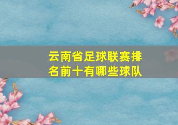 云南省足球联赛排名前十有哪些球队