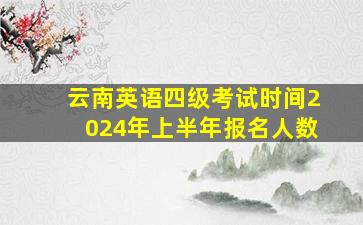 云南英语四级考试时间2024年上半年报名人数