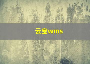 云宝wms