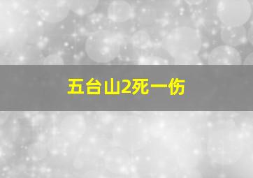 五台山2死一伤