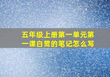 五年级上册第一单元第一课白鹭的笔记怎么写