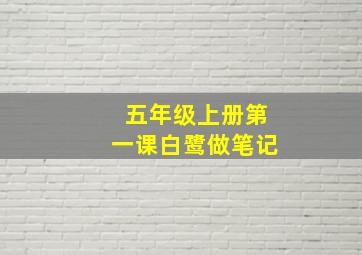 五年级上册第一课白鹭做笔记