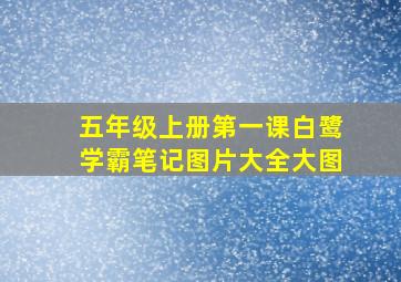 五年级上册第一课白鹭学霸笔记图片大全大图