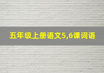 五年级上册语文5,6课词语