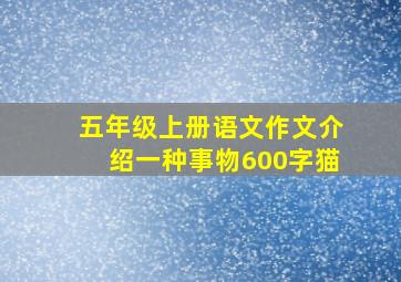 五年级上册语文作文介绍一种事物600字猫