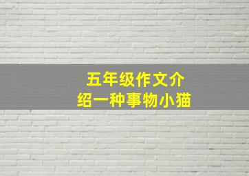 五年级作文介绍一种事物小猫