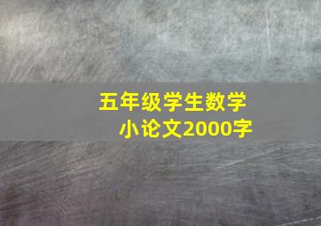 五年级学生数学小论文2000字