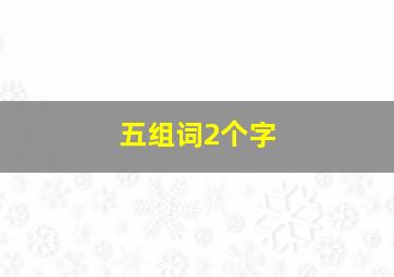 五组词2个字