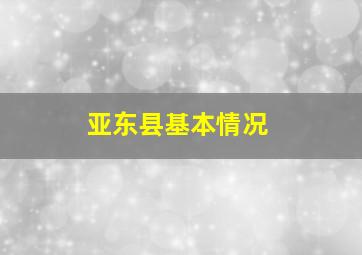 亚东县基本情况