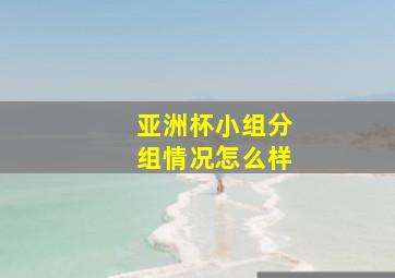 亚洲杯小组分组情况怎么样