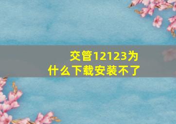 交管12123为什么下载安装不了