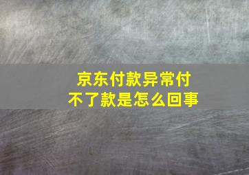 京东付款异常付不了款是怎么回事