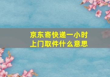 京东寄快递一小时上门取件什么意思