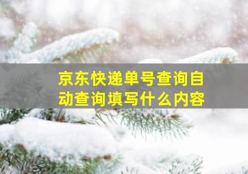 京东快递单号查询自动查询填写什么内容