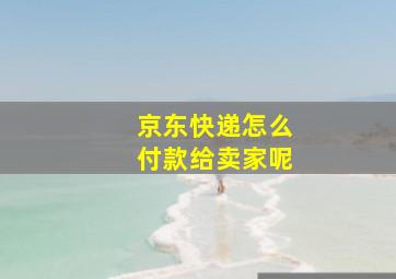 京东快递怎么付款给卖家呢