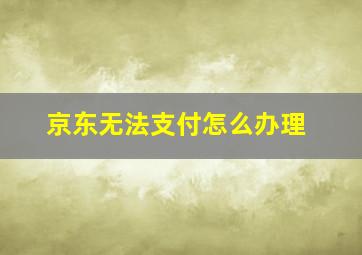 京东无法支付怎么办理