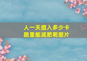 人一天摄入多少卡路里能减肥呢图片