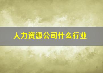 人力资源公司什么行业