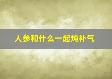 人参和什么一起炖补气