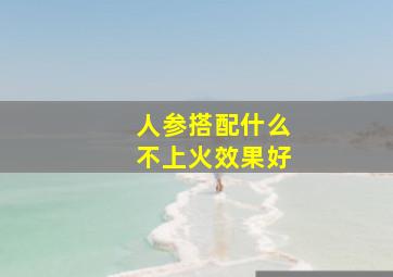 人参搭配什么不上火效果好