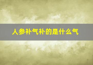 人参补气补的是什么气