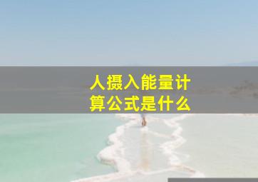 人摄入能量计算公式是什么