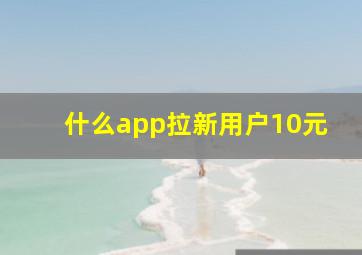 什么app拉新用户10元