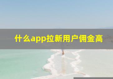 什么app拉新用户佣金高