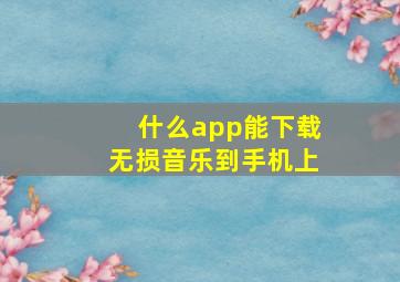 什么app能下载无损音乐到手机上