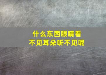 什么东西眼睛看不见耳朵听不见呢