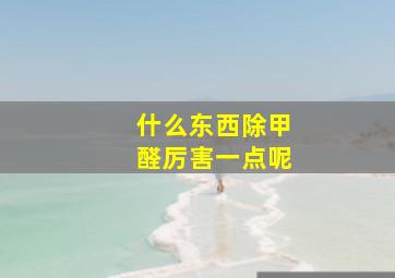 什么东西除甲醛厉害一点呢