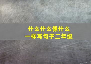 什么什么像什么一样写句子二年级