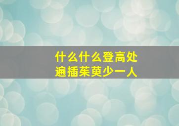 什么什么登高处遍插茱萸少一人