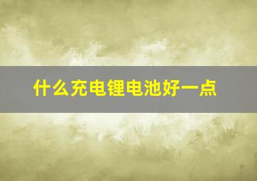 什么充电锂电池好一点