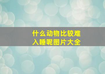 什么动物比较难入睡呢图片大全