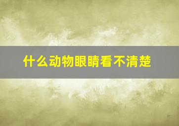 什么动物眼睛看不清楚