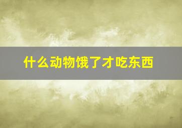 什么动物饿了才吃东西