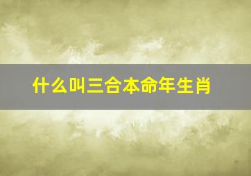 什么叫三合本命年生肖