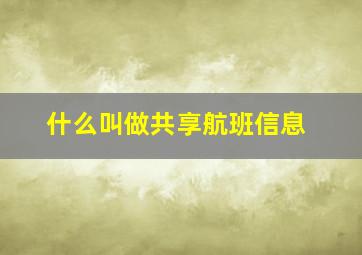 什么叫做共享航班信息