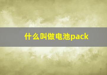 什么叫做电池pack