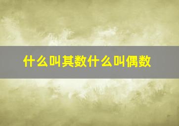 什么叫其数什么叫偶数