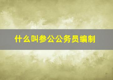 什么叫参公公务员编制