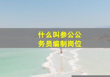 什么叫参公公务员编制岗位