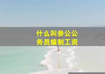 什么叫参公公务员编制工资