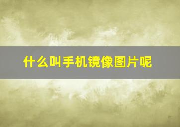 什么叫手机镜像图片呢