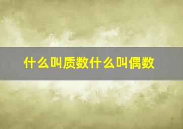 什么叫质数什么叫偶数